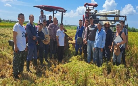 Từ cánh đồng lúa Việt Nam đến bình minh đổi mới của Cuba: Tầm nhìn chiến lược và khát vọng tự cường