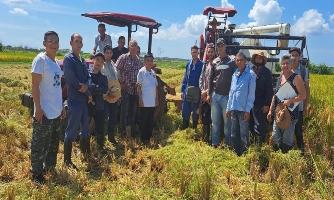 Từ cánh đồng lúa Việt Nam đến bình minh đổi mới của Cuba: Tầm nhìn chiến lược và khát vọng tự cường